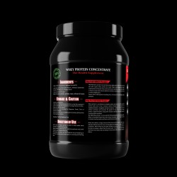 THE FITX DigeZyme Whey Protein Concentrate 